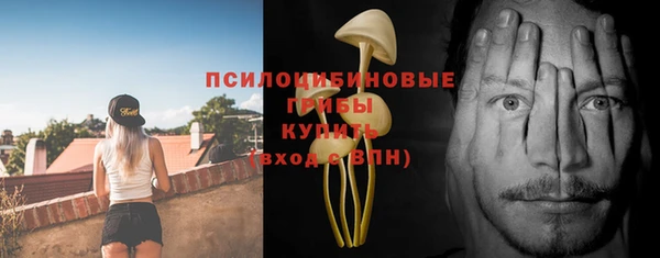 винт Надым