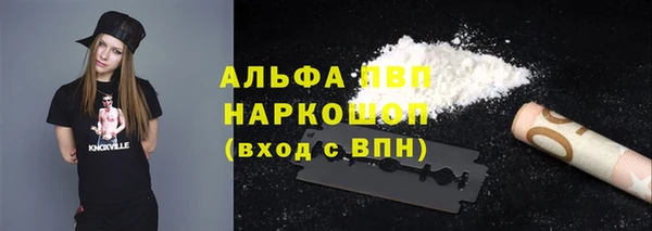 винт Надым